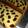 Cooksnap dari Sapitri untuk resep Bolu Tape Ekonomis Tanpa SP & TBM
