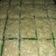 Cooksnap dari Laila Ramadhia untuk resep Brownies Pandan Kukus