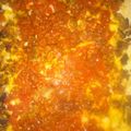 Nikolesmomma's cooksnap of when they made Ground Turkey Enchilada Casserole.