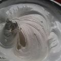 El cooksnap de Maria Pereyra cuando hizo Merengue suizo.