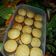 El cooksnap de Deliariveroo@hotmail.com Rivero cuando hizo Magdalenas con chips.