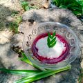 Cooksnap dari Widjie Astuti untuk resep 351. Buah Naga Eksotis