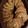 El cooksnap de Javier L. Ramirez cuando hizo Galletitas con Chips de Chocolate.