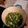 marnalyon1's cooksnap of when they made Brussels Sprouts Their Way.