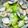 庭秀 的 蛤蜊絲瓜 cooksnap