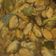 Cooksnap dari Dena T Djajadisastra untuk resep Tumis kerang kupas ala warteg