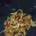 Cooksnap dari Izzati Robbi Hamiyya untuk resep Ayam suwir pedes
