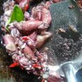 Cooksnap dari cut nehal untuk resep Cumi Asam Manis Pedas