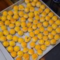 Cooksnap dari Rini Novian untuk resep Nastar Keju