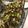 El cooksnap de seyda sanz cuando hizo Coles de Bruselas con uvas y nueces.
