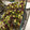 El cooksnap de seyda sanz cuando hizo Coles de Bruselas con uvas y nueces.
