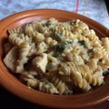 El cooksnap de Anto Bincoletto cuando hizo Fideos con salsa de pollo y verdeo.