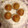 El cooksnap de virginiaanes cuando hizo Pastelitos de mandarina.