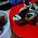 Cooksnap dari Nina Daryanti untuk resep Oreo Green Tea Cupcakes