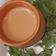 Jayshree Doshi's cooksnap of when they made ફુદીના ચા (Mint tea recipe in Gujarati).