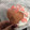 El cooksnap de Valentini cuando hizo Galletitas de manteca.