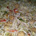 Cooksnap dari Fransiska Ken untuk resep Oseng Tahu Tauge