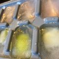 TayJay's cooksnap of when they made Vickys Fun Fruit Ice Cubes, GF DF EF SF NF.