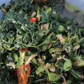 Cooksnap dari erlina untuk resep Tumis kenikir simple