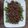 Cooksnap dari Mila Zakaria untuk resep Ca sapi buncis muda