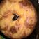 El cooksnap de Yämi Naiara cuando hizo Rosca de pascua con crema pastelera.