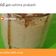 ushma prakash mevada's cooksnap of when they made કોલ્ડ કોફી (Cold Coffee Recipe In Gujarati).