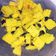 Nirmala Rajput का कुकस्नैप जब उन्होंने इंस्टेंट खमन ढोकलI(Instant khaman dhokla recipe in hindi) बनाया था।