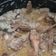 Cooksnap dari bheti mustaqiem untuk resep Ayam Bumbu Ingkung Jogja