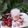 Adeya's cooksnap of when they made Strawberry milk shake.