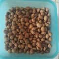 Cooksnap dari Zhielusiana untuk resep Kacang Telur Manis Gurih Renyah