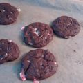 TheHogwartsLibrarian's cooksnap of when they made Chocolate Peppermint Crunch Cookies.