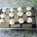 jenniferrex1991's cooksnap of when they made S'mores Brownies.