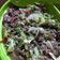 Cooksnap dari Uwie untuk resep Ca Brokoli Daging Cincang Saus Tiram