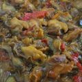 Cooksnap dari Diwyacitta Dirottsaha untuk resep Kerang Pedas Manis