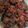 Cooksnap dari Ganbattewidya untuk resep Dendeng Balado Kering