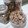 Cooksnap dari Andi Purnama untuk resep Kue Semprit Jadul