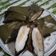 Cooksnap dari yuli_umi nafeeza untuk resep Nagasari