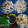 Cooksnap dari Desy Titis untuk resep Empek empek dos