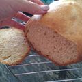 El cooksnap de Maribel cuando hizo Pan de torrijas en panificadora.