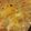 jc.guahan's cooksnap of when they made Macaroni and Cheese.