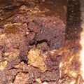 Cooksnap dari youla Arini P. untuk resep Chewy Brownies Panggang