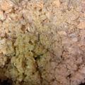 saevax's cooksnap of when they made Grandma's Chicken and Rice.