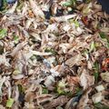 Cooksnap dari Aisyah Ningrum untuk resep Cakalang Suwir Pedas
