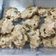Cooksnap dari Jo Clara (IG @JoClaraa) untuk resep Siomay ayam gurih berasa daging, enak banget pokoknya