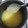 El cooksnap de Gio Rosconi cuando hizo Crema de limón.