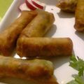 صورة من Fatima, kitchen&cook ، شاركها بعد تجربة وصفة سبرنغ رول باللحم والخضار