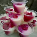 Cooksnap dari Aprila Sari untuk resep Puding Buah Naga lapis Susu