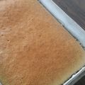 El cooksnap de Jenniree del Carmen Almeida Ramirez cuando hizo Torta con aceite.