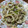 El cooksnap de Marina I. Blanck cuando hizo Calamares con boletus.