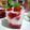 Cooksnap dari Fey_Pawonmungil untuk resep Korean fresh strawberry milk